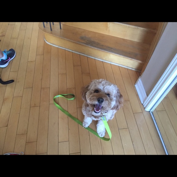 Meet your Posher, Melissa - Picture 1 of 1